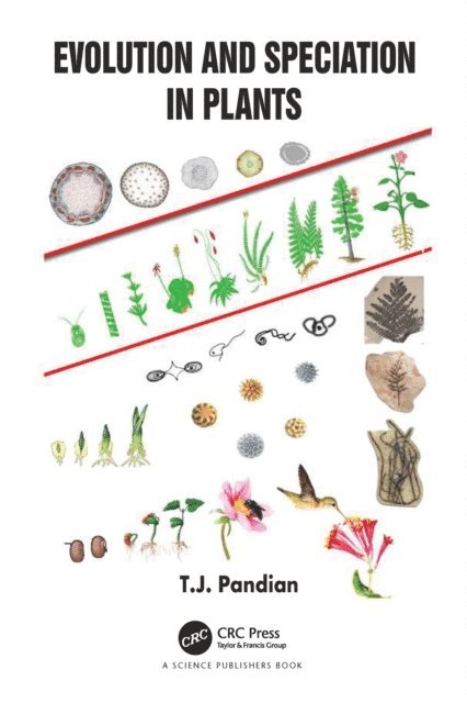 T.J. Pandian - Evolution and Speciation in Plants, E-bok