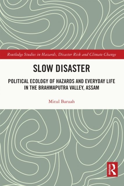 Mitul Baruah - Slow Disaster, E-bok