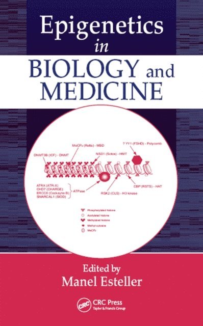 Manel Esteller - Epigenetics in Biology and Medicine, E-bok