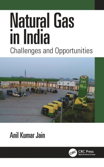 Anil Kumar Jain - Natural Gas in India, E-bok