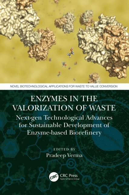 Pradeep Verma - Enzymes in the Valorization of Waste, E-bok