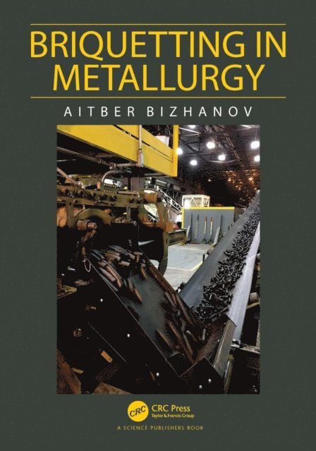 Aitber Bizhanov - Briquetting in Metallurgy, E-bok