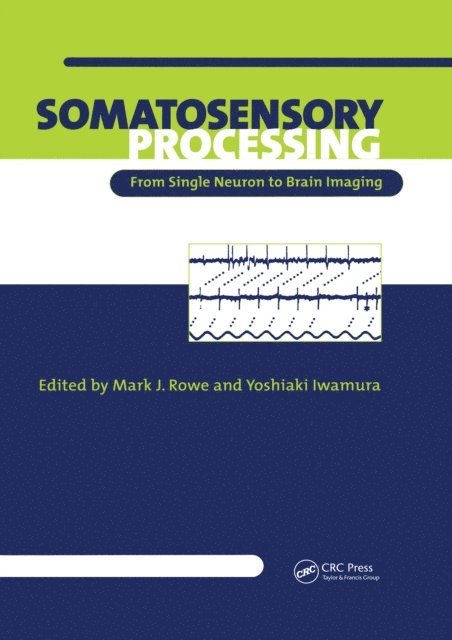 Yoshiaki Iwamura, Mark Rowe - Somatosensory Processing, E-bok