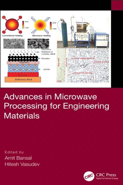 Hitesh Vasudev, Amit Bansal - Advances in Microwave Processing for Engineering Materials, E-bok