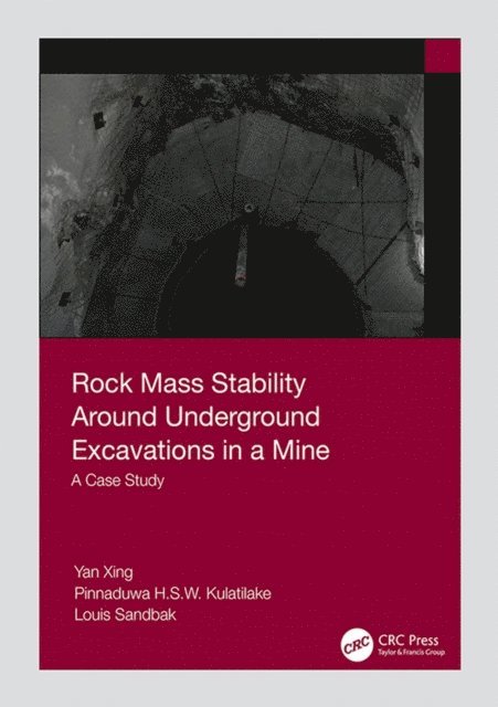 Louis Sandbak, Pinnaduwa Kulatilake, Yan Xing - Rock Mass Stability Around Underground Excavations in a Mine, E-bok