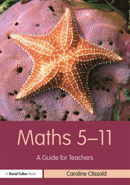 Caroline Clissold - Maths 5-11, E-bok