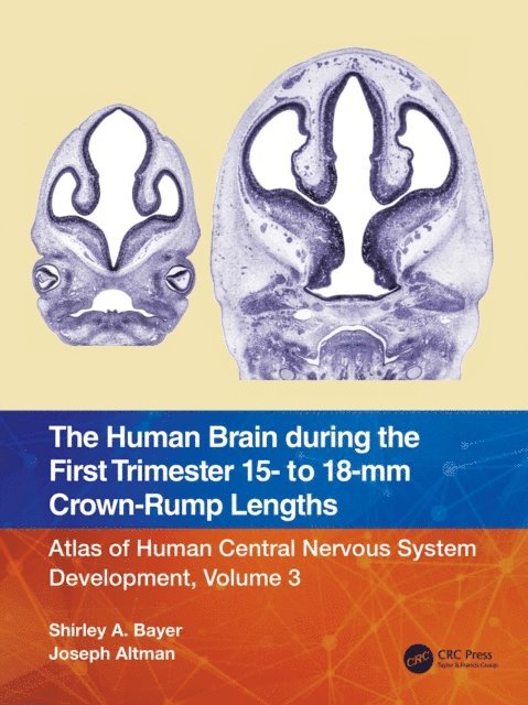 Joseph Altman, Shirley A. Bayer - Human Brain during the First Trimester 15- to 18-mm Crown-Rump Lengths, E-bok