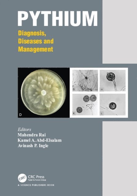 Avinash P. Ingle, Kamel Ahmed Abd-Elsalam, Mahendra Rai - Pythium, E-bok