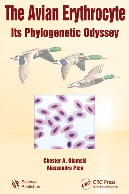 Avian Erythrocyte