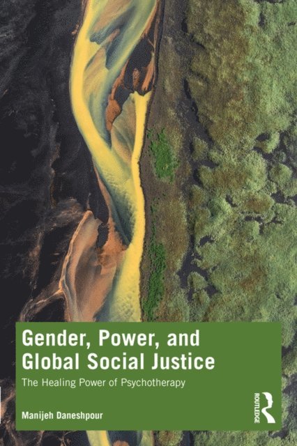Manijeh Daneshpour - Gender, Power, and Global Social Justice, E-bok. Tillgänglighet: Lägg i varukorg