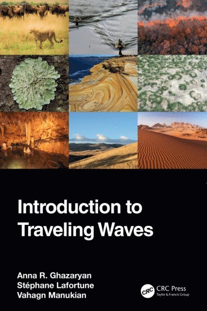 Vahagn Manukian, Stephane Lafortune, Anna R. Ghazaryan - Introduction to Traveling Waves, E-bok