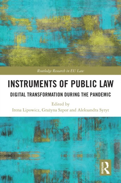 Aleksandra Syrt, GraAyna Szpor, Irena Lipowicz - Instruments of Public Law, E-bok