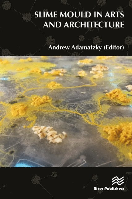 Andrew Adamatzky - Slime Mould in Arts and Architecture, E-bok