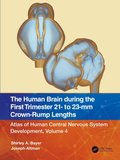 Human Brain during the First Trimester 21- to 23-mm Crown-Rump Lengths