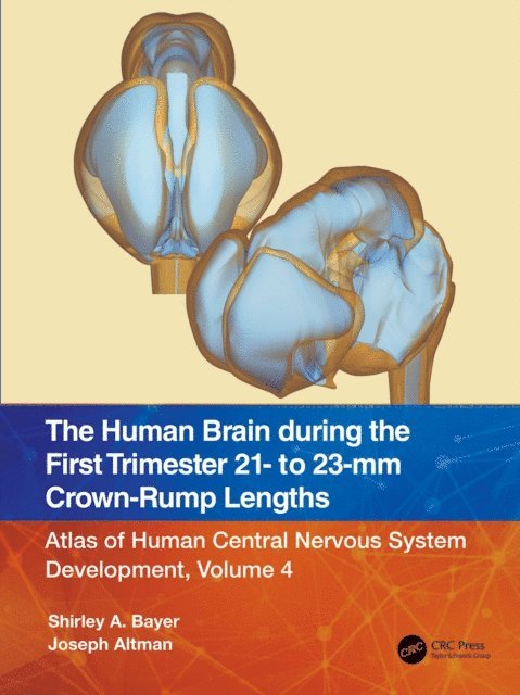 Joseph Altman, Shirley A. Bayer - Human Brain during the First Trimester 21- to 23-mm Crown-Rump Lengths, E-bok