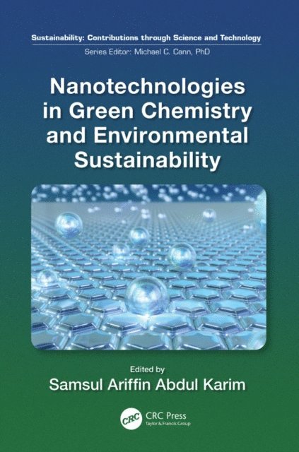 Samsul Ariffin Abdul Karim - Nanotechnologies in Green Chemistry and Environmental Sustainability, E-bok