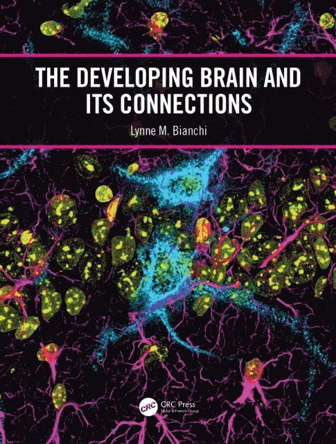 Developing Brain and its Connections
