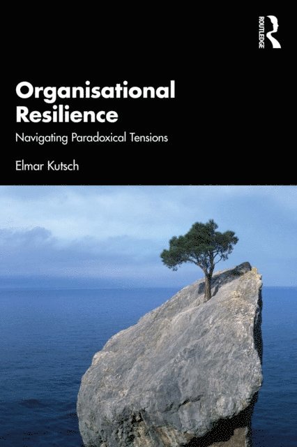 Elmar Kutsch - Organisational Resilience, E-bok