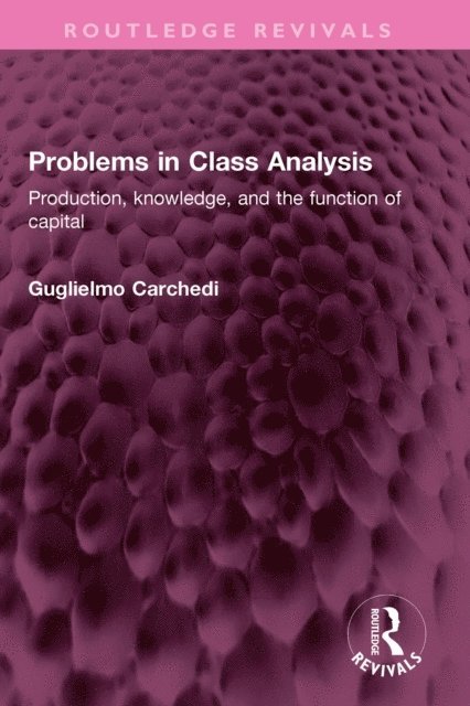 Guglielmo Carchedi - Problems in Class Analysis, E-bok