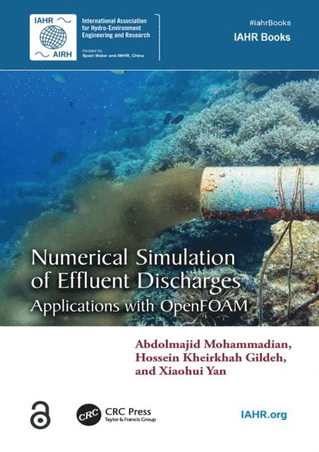 Xiaohui Yan, Hossein Kheirkhah Gildeh, Abdolmajid Mohammadian - Numerical Simulation of Effluent Discharges, E-bok