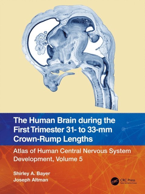 Joseph Altman, Shirley A. Bayer - Human Brain during the First Trimester 31- to 33-mm Crown-Rump Lengths, E-bok