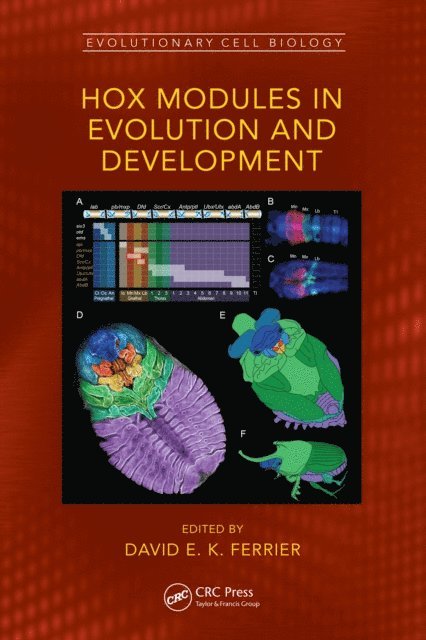 David E. K. Ferrier - Hox Modules in Evolution and Development, E-bok