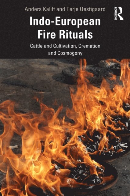 Terje Oestigaard, Anders Kaliff - Indo-European Fire Rituals, E-bok