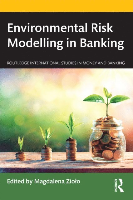 Magdalena Ziolo - Environmental Risk Modelling in Banking, E-bok