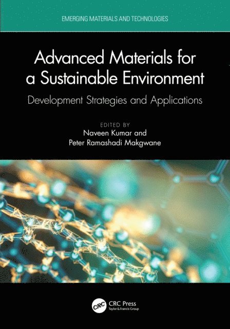 Peter Ramashadi Makgwane, Naveen Kumar - Advanced Materials for a Sustainable Environment, E-bok