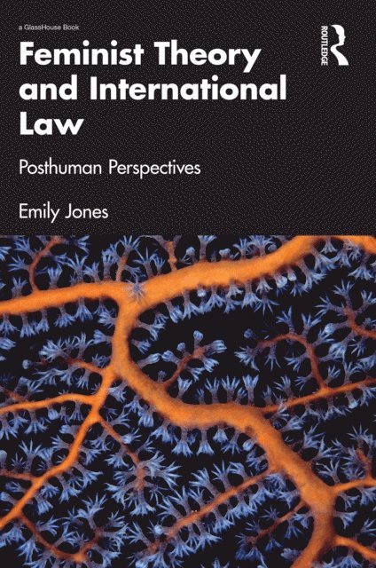 Emily Jones - Feminist Theory and International Law, E-bok