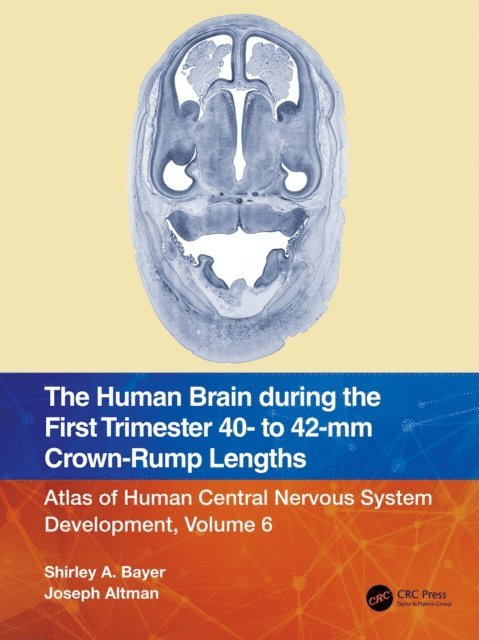 Joseph Altman, Shirley A. Bayer - Human Brain during the First Trimester 40- to 42-mm Crown-Rump Lengths, E-bok