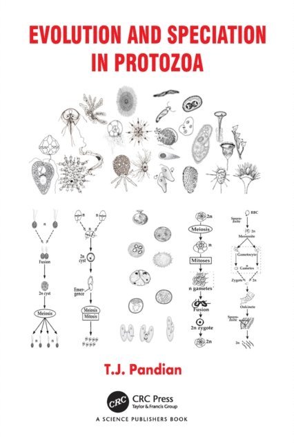 T.J. Pandian - Evolution and Speciation in Protozoa, E-bok