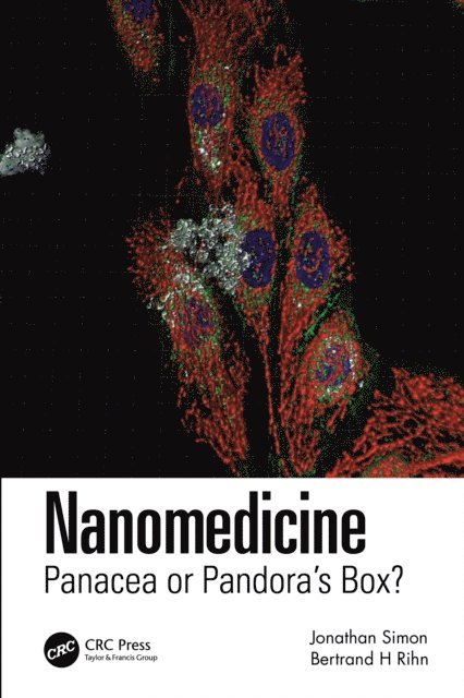 Bertrand H. Rihn, Jonathan Simon - Nanomedicine, E-bok