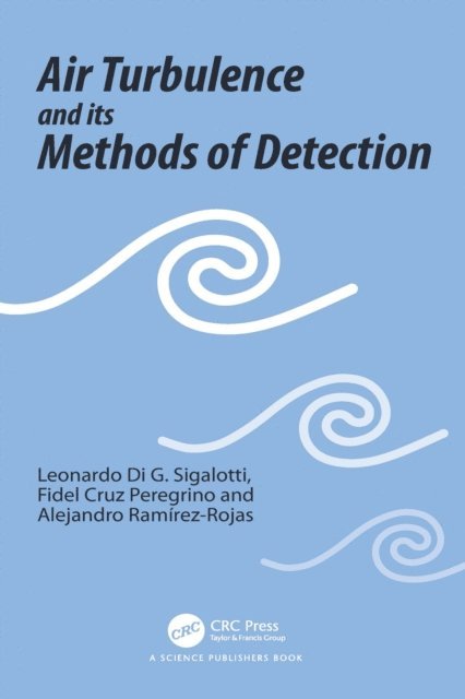 Alejandro Ramirez-Rojas, Fidel Cruz Peregrino, Leonardo Di G. Sigalotti - Air Turbulence and its Methods of Detection, E-bok