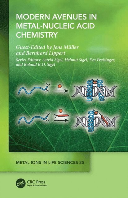 Bernhard Lippert, Jens Muller - Modern Avenues in Metal-Nucleic Acid Chemistry, E-bok
