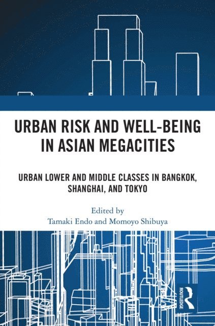 Momoyo Shibuya, Tamaki Endo - Urban Risk and Well-being in Asian Megacities, E-bok