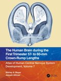 Human Brain during the First Trimester 57- to 60-mm Crown-Rump Lengths