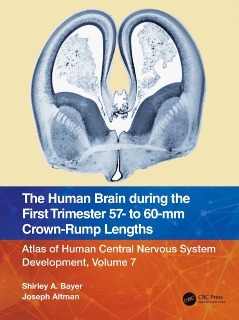 Joseph Altman, Shirley A. Bayer - Human Brain during the First Trimester 57- to 60-mm Crown-Rump Lengths, E-bok