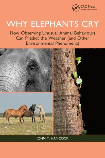 John T. Hancock - Why Elephants Cry, E-bok