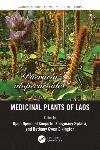 Kongmany Sydara, Bethany G. Elkington, Djaja Djendoel Soejarto - Medicinal Plants of Laos, E-bok