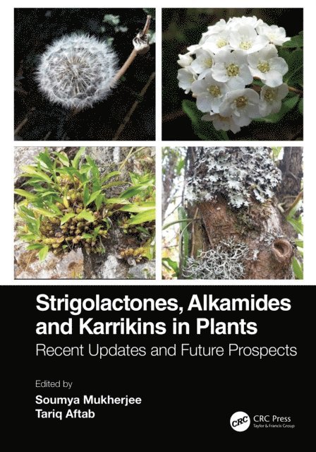 Tariq Aftab, Soumya Mukherjee - Strigolactones, Alkamides and Karrikins in Plants, E-bok