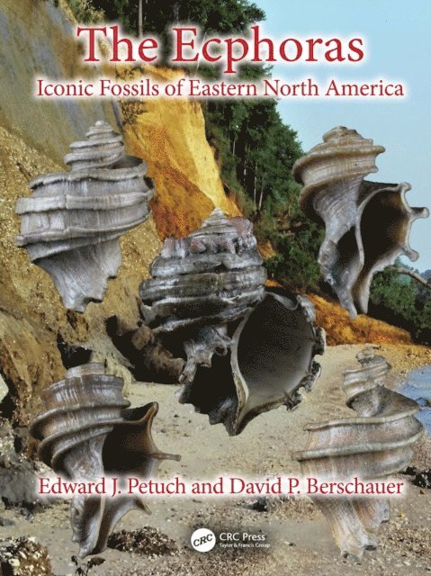 David P. Berschauer, Edward J. Petuch - Ecphoras, E-bok