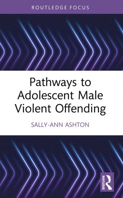 Sally-Ann Ashton - Pathways to Adolescent Male Violent Offending, E-bok