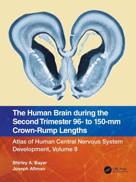 Joseph Altman, Shirley A. Bayer - Human Brain during the Second Trimester 96- to 150-mm Crown-Rump Lengths, E-bok