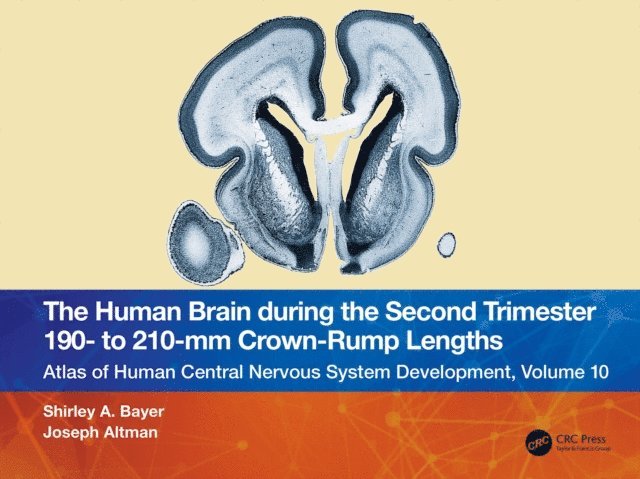 Joseph Altman, Shirley A. Bayer - Human Brain during the Second Trimester 190- to 210-mm Crown-Rump Lengths, E-bok