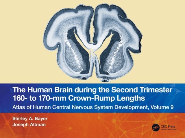Joseph Altman, Shirley A. Bayer - Human Brain during the Second Trimester 160- to 170-mm Crown-Rump Lengths, E-bok