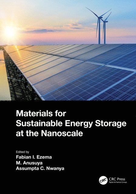 Assumpta C Nwanya, M Anusuya, Fabian Ifeanyichukwu Ezema - Materials for Sustainable Energy Storage at the Nanoscale, E-bok