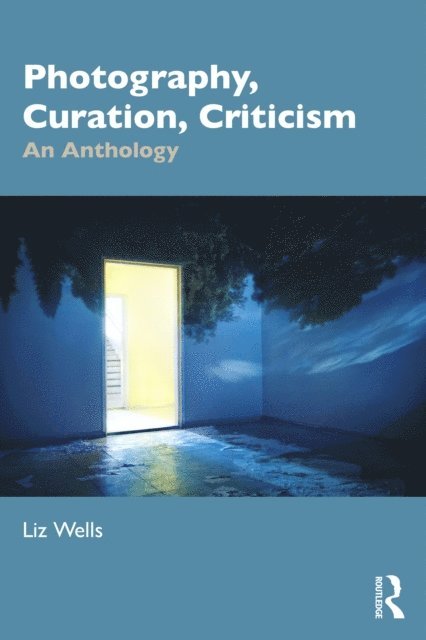 Liz Wells - Photography, Curation, Criticism, E-bok