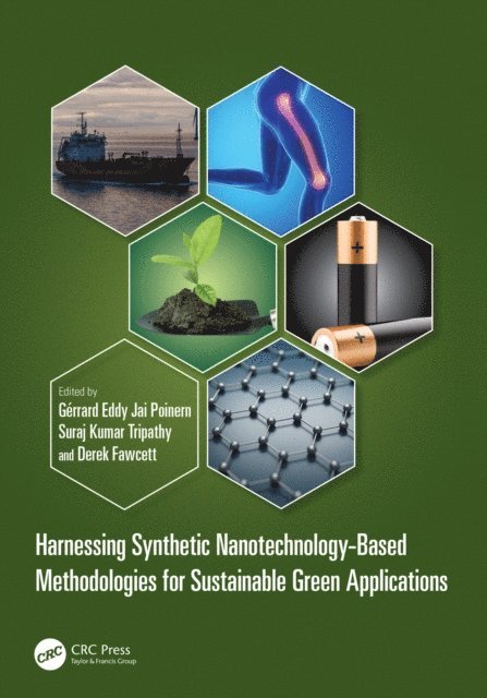 Derek Fawcett, Suraj Tripathy, Gerrard Eddy Jai Poinern - Harnessing Synthetic Nanotechnology-Based Methodologies for Sustainable Green Applications, E-bok