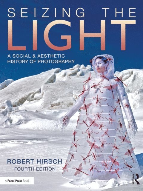 Robert Hirsch - Seizing the Light, E-bok
